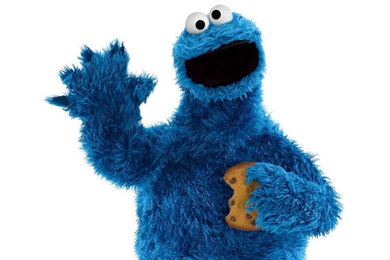 ENV.media cookies